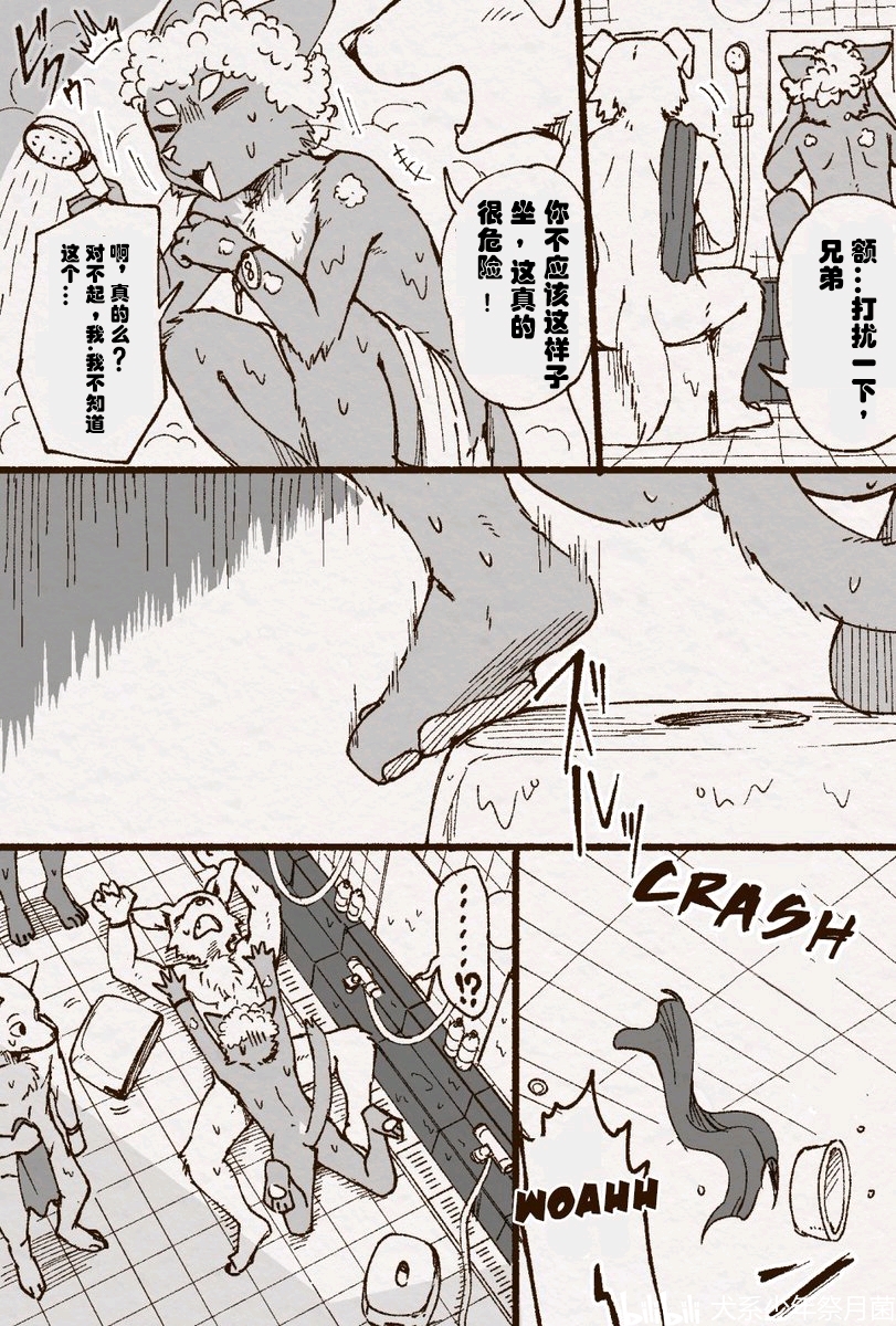 奶酪陷阱